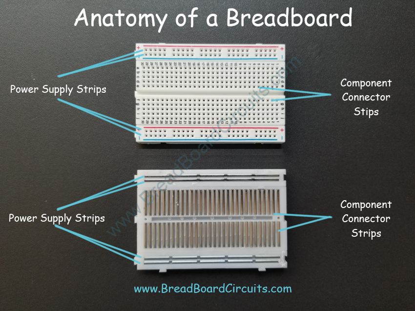 Breadboard Anatomy